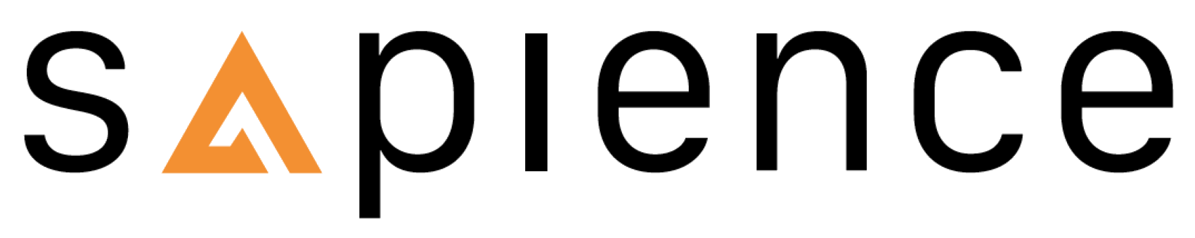 Sapience Consulting